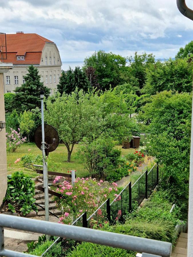 Ferienwohnung Treibholz Sassnitz Buitenkant foto